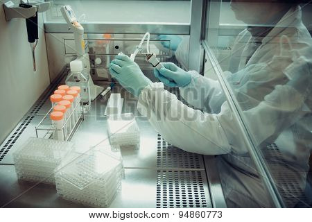 Adults Laboratory Technician Working With Multiwell Pipette