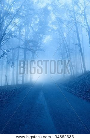 Road In The Fog