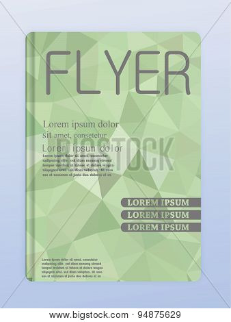 Vector Brochure  Flyer Presentation Template Modern
