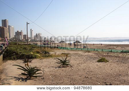 People And Flora On Addington Beach Against City Skyline