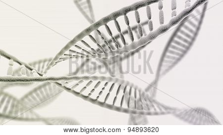 Many Dna Chains On The Light Background