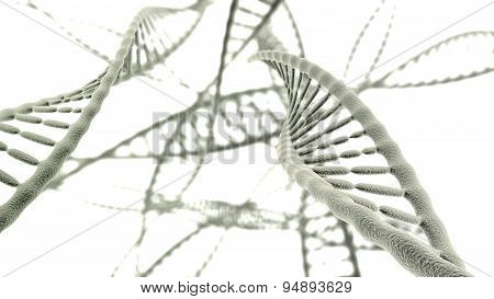 Many Dna Chains Close Up On The Light Background