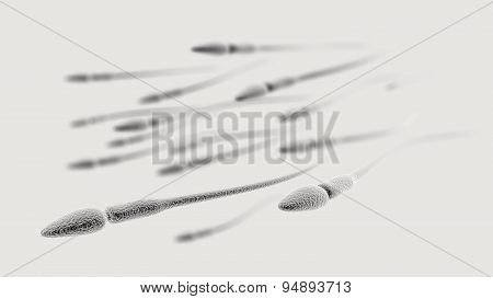 Sperm Macro On Light Background