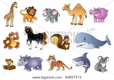 Animals
