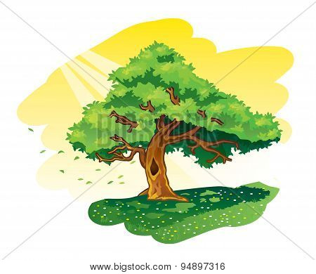 Big tree