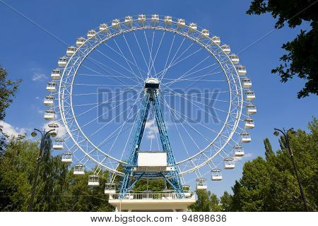 People Rest In Park Izmaylovsky