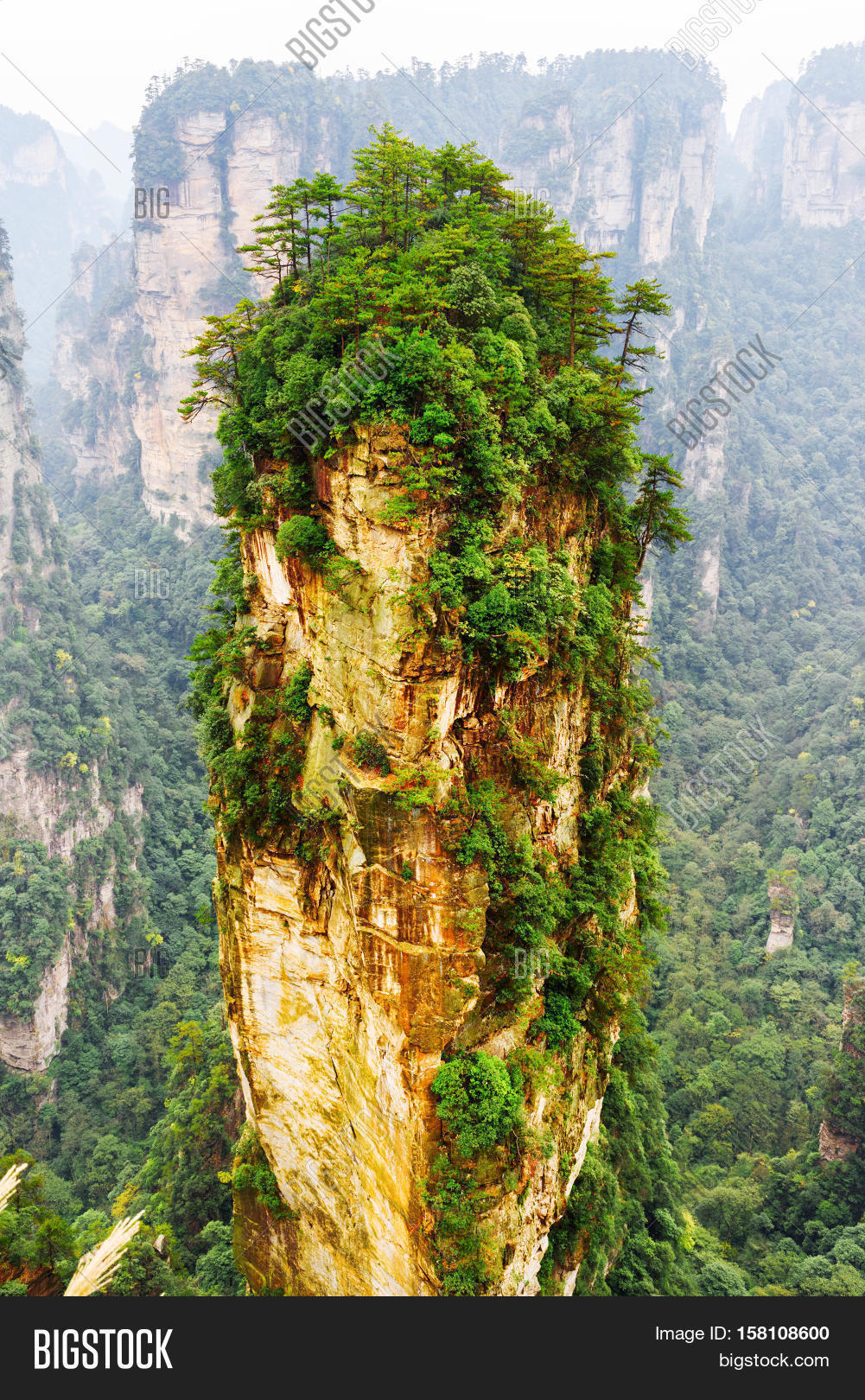 Avatar Hallelujah Image & Photo (Free Trial) | Bigstock