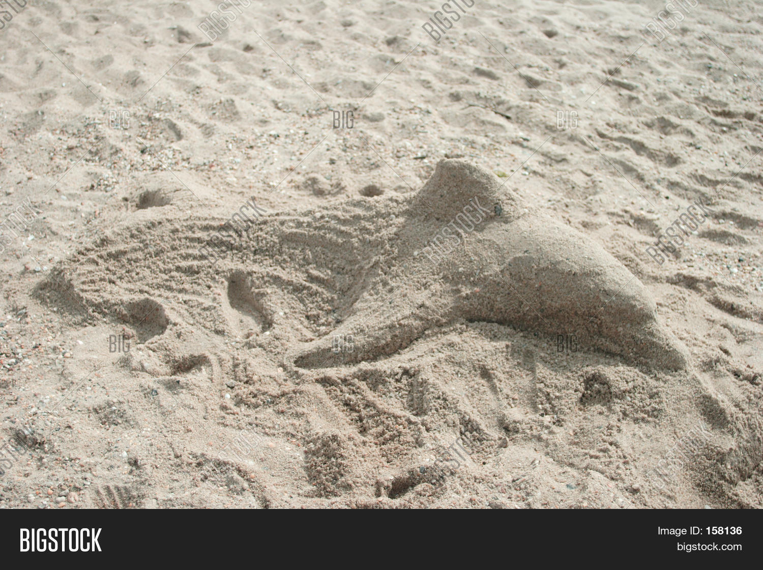 Sand Sculpture Dolphin Image & Photo (Free Trial) Bigstock
