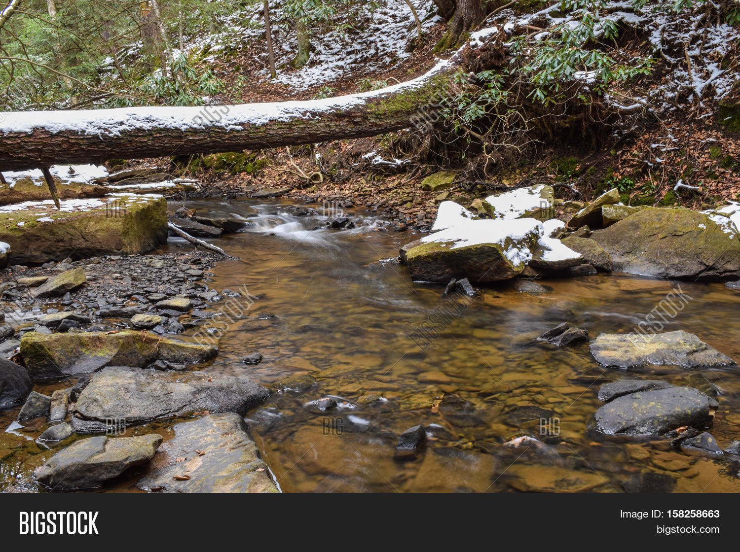 Small Trout Stream Image & Photo (Free Trial) Bigstock