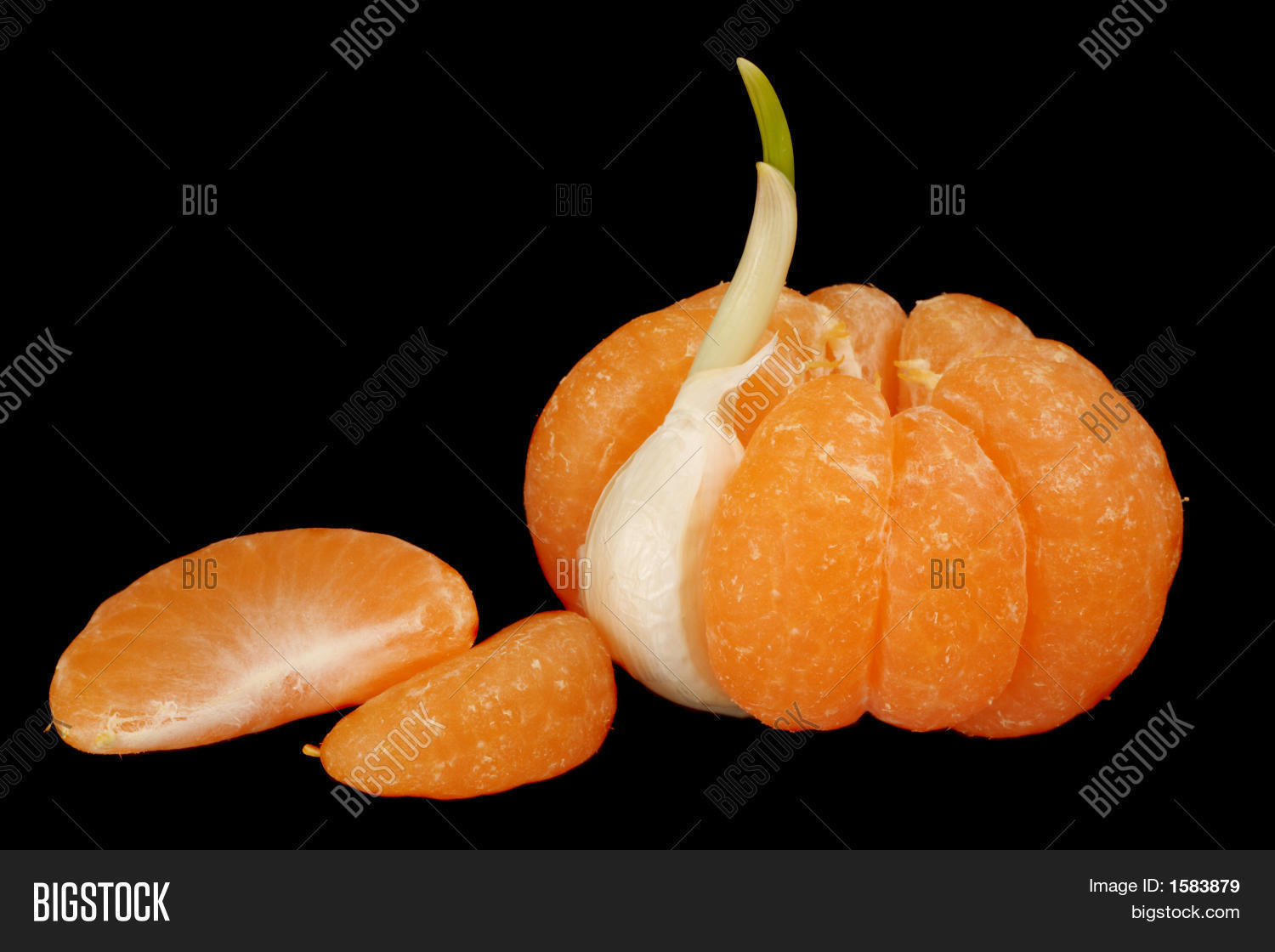 Mandarin Garlic Clove Image & Photo (Free Trial) Bigstock