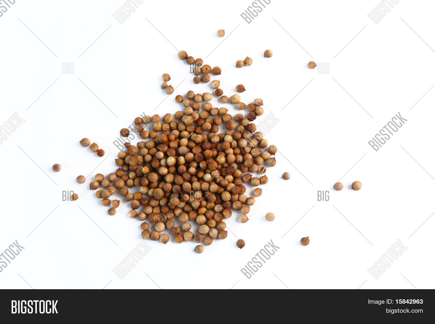 Dried Coriander Fruit Image & Photo (Free Trial) Bigstock