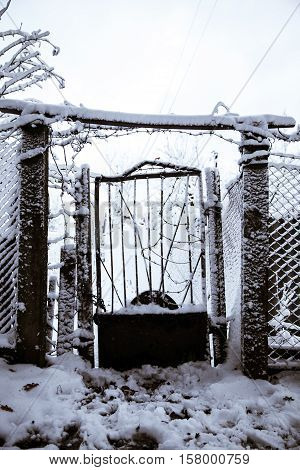 wrought-iron entrance door to derelict jewish graveyard covered in snow in winter
