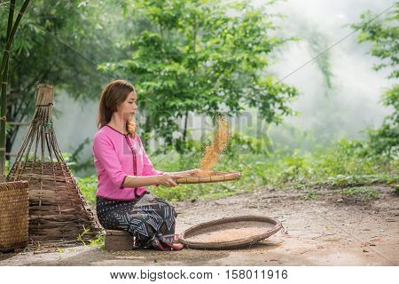 Beautiful Thai Asian Women Winnow Rice Separate Between Rice And Rice Chaff Identity . In Traditiona