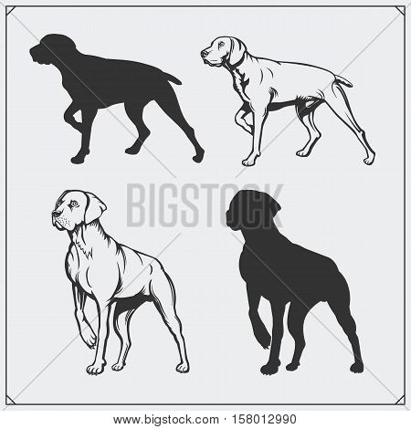 Illustrations and silhouettes of dogs. Black and white design.