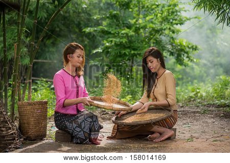 Beautiful Thai Asian Women Winnow Rice Separate Between Rice And Rice Chaff Identity . In Traditiona