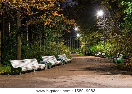 Night view of alley in the Kirov Central Culture and Leisure Park Saint Petersburg Russia