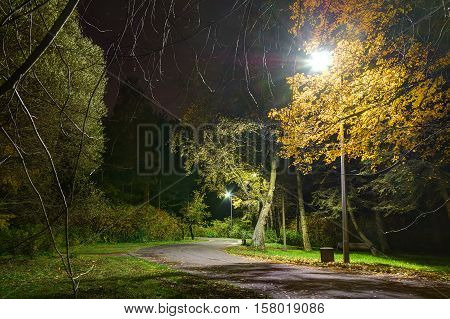 Night view of road in the Kirov Central Culture and Leisure Park Saint Petersburg Russia