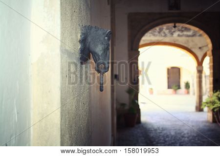 head in the form of a horse on the wall in the winery Spain