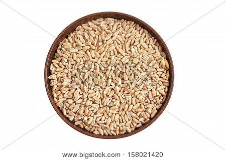 Spelt grain (dinkel wheat) in wooden bowl isolated on white background