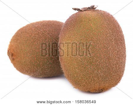 kiwi  two  nature fruits on white background