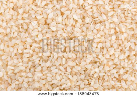 Closeup white sesame seeds background. food. sesame