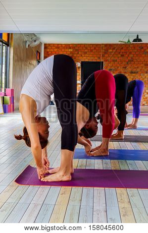 Group of women doing yoga in a fitness gym.