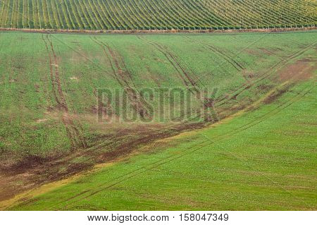 Background of Moravian fields area called the Moravian Tuscany Czechia.