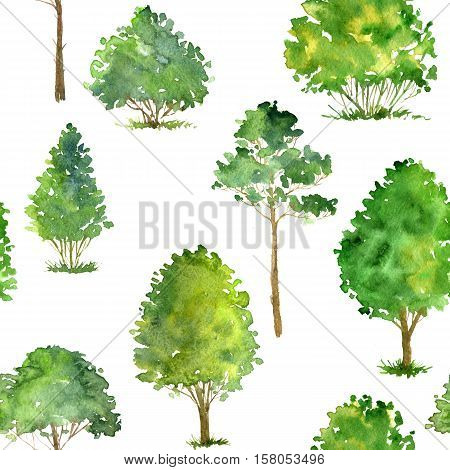 seamless pattern with watercolor deciduous trees and pines, bushes and grass, abstract nature background, forest template, green foliage and plants, hand drawn illustration