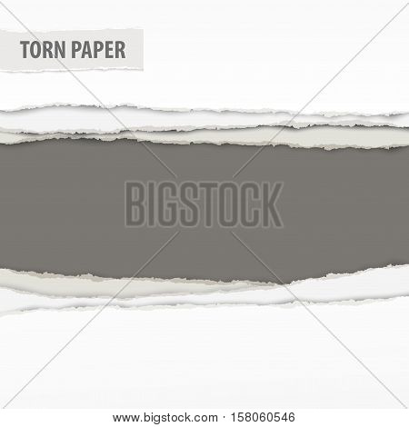 Torn Paper Pieces On Grey