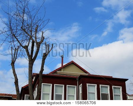 Tree and a hundred years old structure.A gull on the roof.