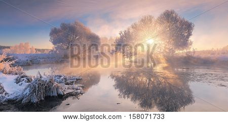 Sunny winter morning. Bright winter landscape. Panorama with sunlight and sun beams. Beautiful xmas theme