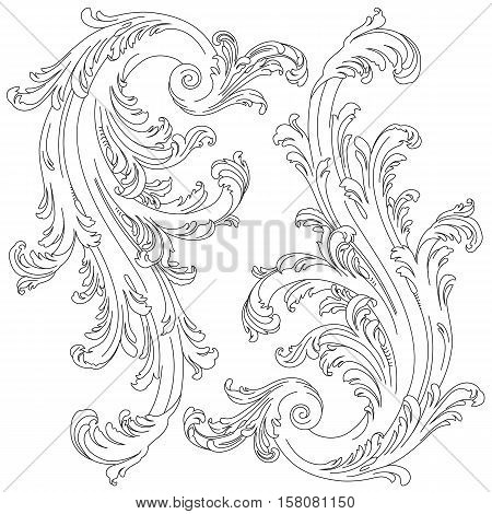 Vintage ornament, baroque ornament, scroll ornament, engraving ornament, border ornament, floral ornament, retro pattern, antique pattern, style acanthus pattern, foliage pattern, swirl pattern decorative pattern, filigree pattern. vector