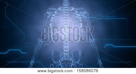 X ray skeleton skelet body. Anatomy concept. 3d render.