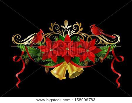 Christmas decoration with evergreen treess holly and pinecone and poinsettia and ribbon isolated bells red birds Cardinal