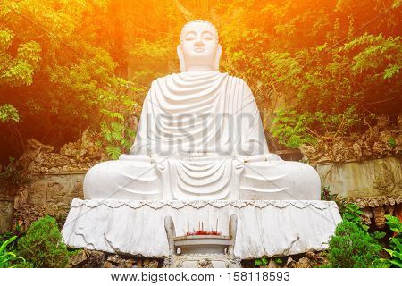 Majestic View Of Buddha Statue Among Green Trees. Toned Image