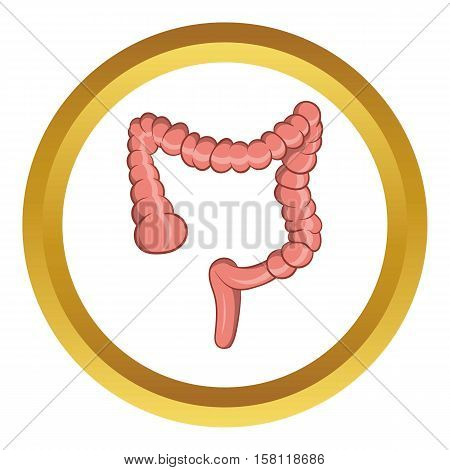 Intestine vector icon in golden circle, cartoon style isolated on white background