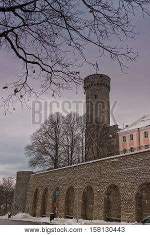 Toompea Castle is a castle on Toompea hill in the central part of Tallinn the capital of Estonia. The castle an ancient stronghold site in use since at least the 9th century today houses the Parliament of Estonia.
