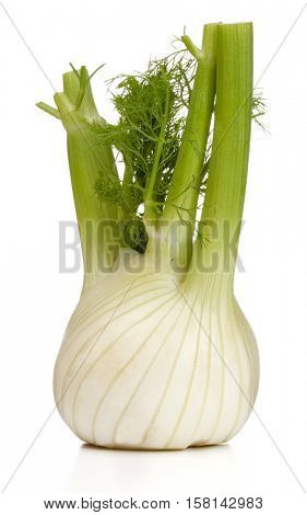 Fresh fennel bulb isolated on white background close up