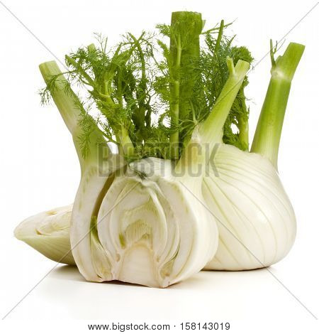 Fresh fennel bulb isolated on white background close up