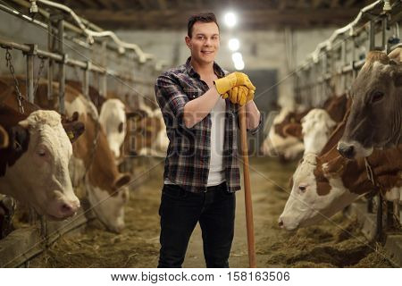 Young agricultural worker posing in a cowshed