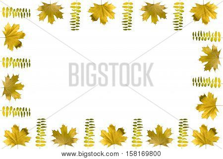 Fall Frame Concept