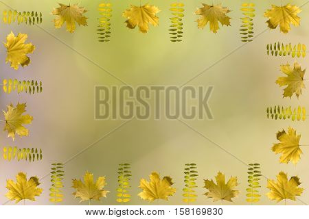 Fall Frame Concept