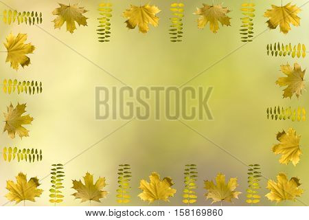 Fall Frame Concept