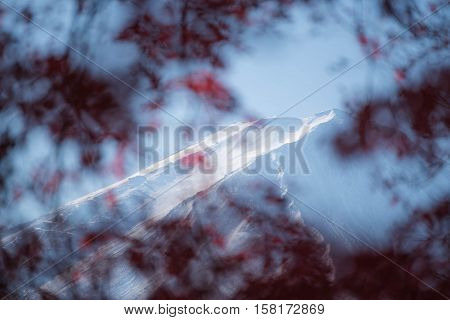 Mount fuji at Kawaguchiko Japan. Maple blur.