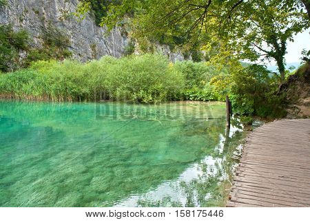 Transparent turquoise waters of Gavanovac lake among green trees and high white rocks in summer. Plitvice lakes national park Croatia