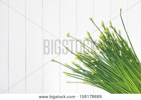 Garlic chives flowers on white wooden background