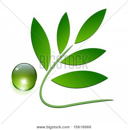 ökologische Symbol, grüne Blätter und Tau-Tropfen.