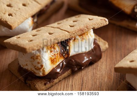 homemade marshmallow s'mores with chocolate on crackers