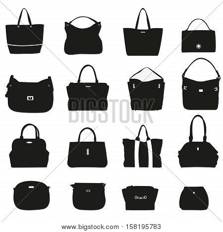 Collection of fashionable handbags on a white background