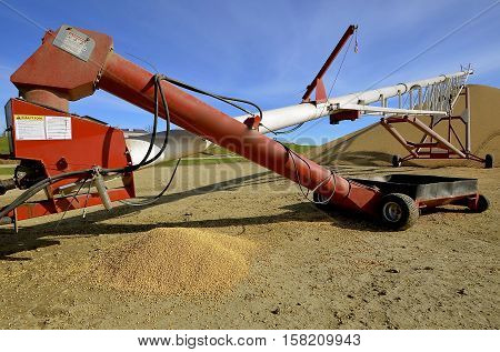 Beans transported with a tube elevator to an outside storage pile